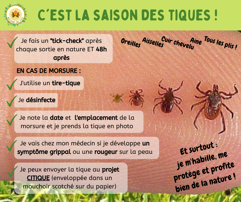 Info tiques